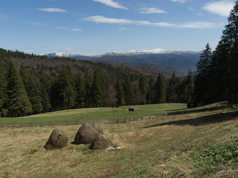 busteni_poiana-izvoarelor_aprilie2014