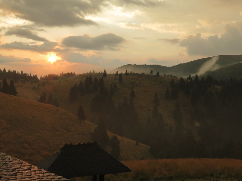 ciucas_august2014