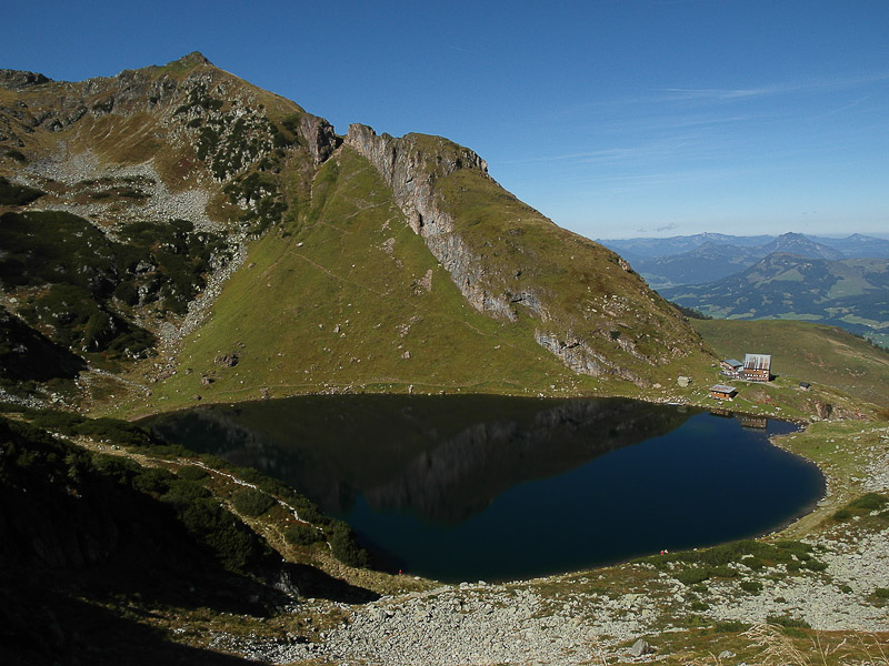 fiebrebrunn